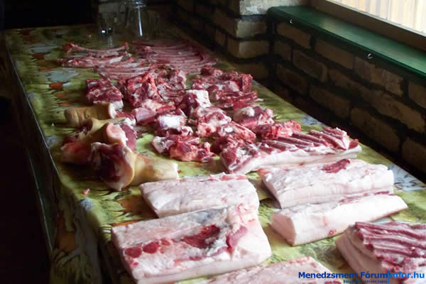 Ezek mind a disznó "alkatrészei" Ezek mind a disznó "alkatrészei"