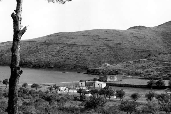 1961