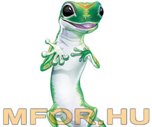 GEICO gekkó