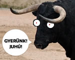 Jön a nagy államreform!