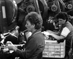 50 éves a Legrand szentesi gyára