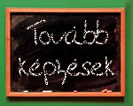 Képzés, továbbképzés, tréning