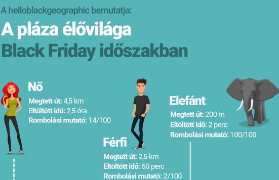 A pláza élővilága Black Friday akciók idején