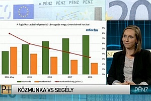 Félmillió közmunkás lesz 2018-ra? (videó)