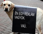 Kiterjesztik az építményadót